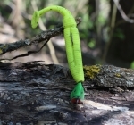 Cheburashka, așa cum îl cunosc pescarii